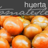 Tomates achatados de Ciudad Rodrigo