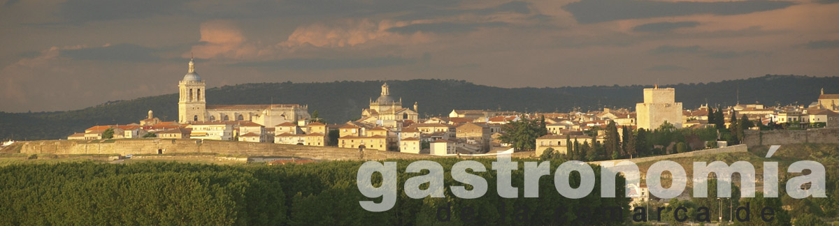 www.gastronomiaciudadrodrigo.com