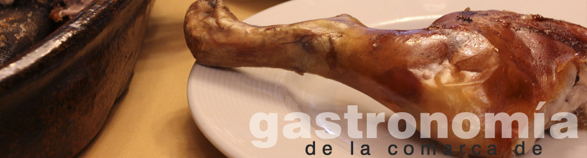 www.gastronomiaciudadrodrigo.com