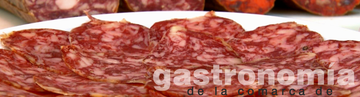 www.gastronomiaciudadrodrigo.com