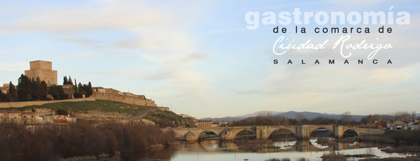 www.gastronomiaciudadrodrigo.com