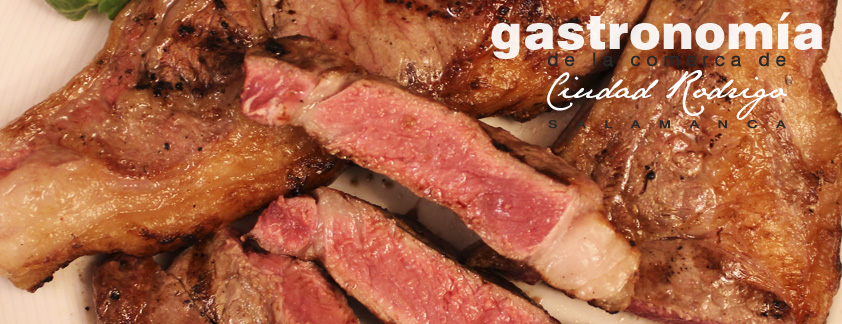 www.gastronomiaciudadrodrigo.com