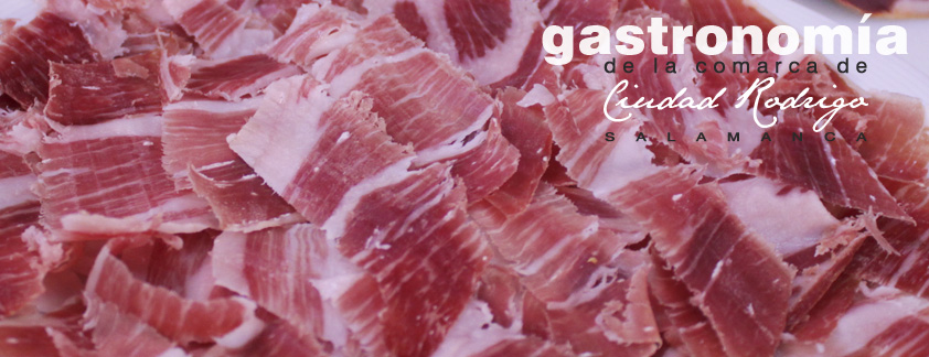 www.gastronomiaciudadrodrigo.com